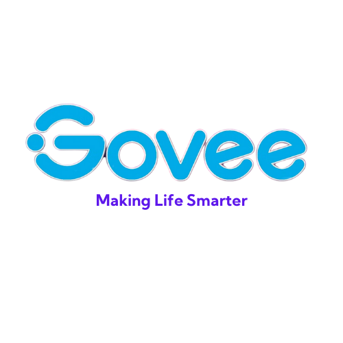 Govee Lights